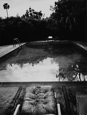 1989 Vintage Helmut Newton Photo Print James Mason Swimming Pool Engraving 14x17 • $103.82