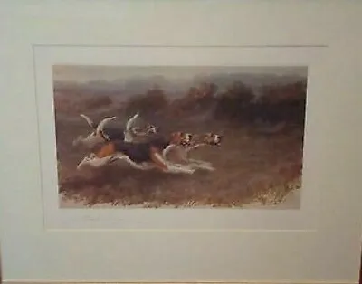 Antique Signed  MAUD EARL Fox Hound Hunting Print  Mounted • $217.74