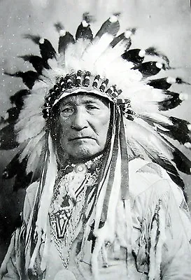 Native American Indian Poster : Black & White Shot Of Chief Wearing Head Dress  • $32.26