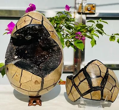 4185g Large Natural Dragon Septarian Septarium Crystal Geodes Lid Specimen Reiki • $499.99