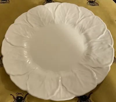 Coalport Bone China White Countryware 9” Salad Luncheon Plate Cabbage Leaf • £40
