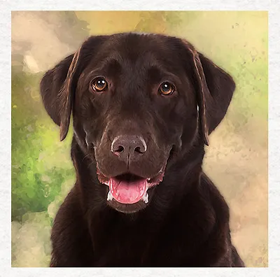 £2.45 • Buy Dog - Chocolate Labrador Fabric Craft Panels In 100% Cotton Or Polyester