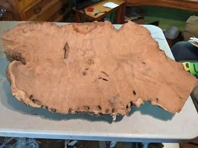 Mesquite Burl Wood Slab Live Edge. Rough Saw Cut. End Cut. • $300