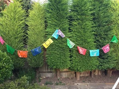 Outdoor Garden Party Decor Mexican Bunting 3 X 5 Metre Long Plastic Garlands • £31.18