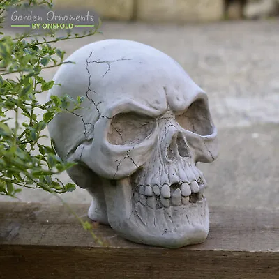 Skeletor Skull Head Hand Cast Stone Outdoor Garden Ornament Sculpture Gift • £68.90