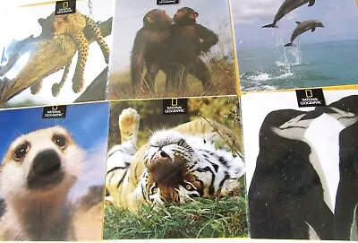 National Geographic Assorted Greeting Cards - Blank Inside For Your Own Message • £2.50