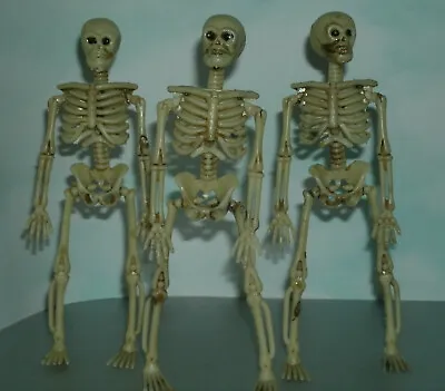 Three 1/12 Scale Human Skeleton Figures 6  Basic Plastic Halloween Skull & Bones • $7.99