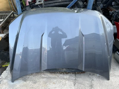 $550 • Buy 2021 2022 2023 Ford F150 Hood