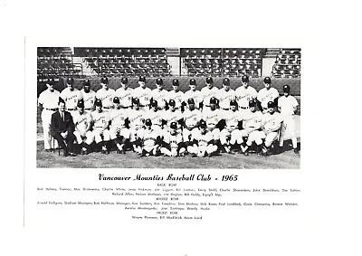 ORIGINAL 1965 VANCOUVER MOUNTIES  6x9 TEAM PHOTO DRABOWSKY • $75