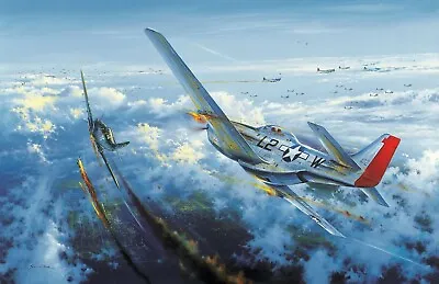 Final Victory By Simon Atack Aviation Art Signed By WWII Ace Robin Olds • $275