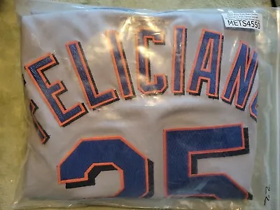 New York Mets  The Late Pedro Feliciano #25 2007 Game Issued P. Worn Road Jersey • $392.44