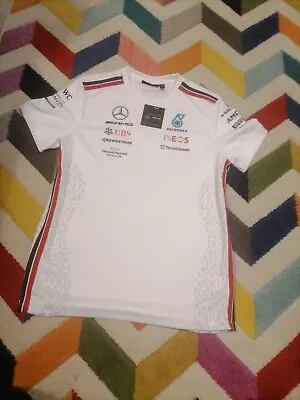 Mercedes-AMG Petronas F1  Racing Team DRIVER Men's T-Shirt Medium Nwt • £34.99