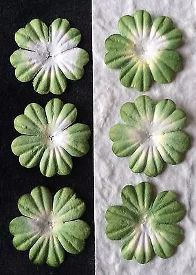 20 Green Handmade Mulberry Paper Flowers Petals Kiwi Scrapbooking Shamrock 1    • $1.79