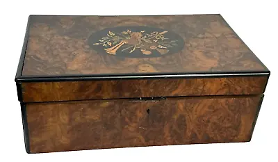 Fine Edwardian Victorian 1800s Burl Walnut Lap Desk Box Birdseye Maple Inlaid • $275