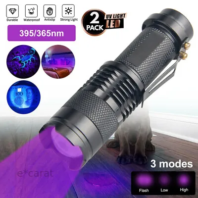 2Pcs UV Ultraviolet Flashlight Black Light 395nm 365nm Detector Urine Pet Stains • $6.99