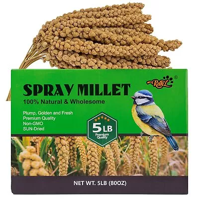 5LBS Millet Spray For Birds GMO-Free Sun Dried Spray Millet Original Bird ... • $59.96