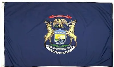 State Of MICHIGAN BIG Flag 3x5FT Polyester Banner MI Dorm Man Cave DecoR 100D • $8.88