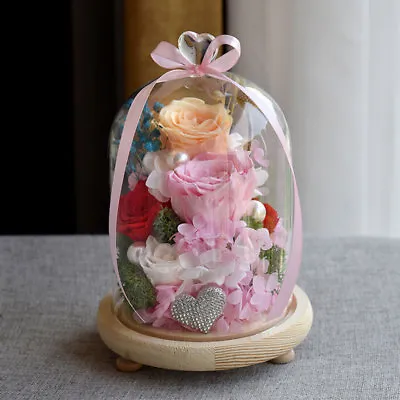 £7.95 • Buy Large Clear Glass Display Dome Bell Jar Cloche With Wooden Base DIY Decoration