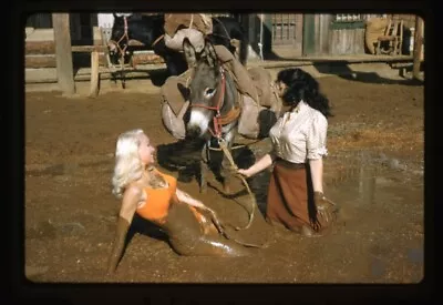 Klondike Mari Blanchard Joi Lansing Mud Wrestling Original 35mm Transparency • $24.99