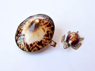 Vintage Shell Trinket / Pill Box & Small Cowrie Shell Turtle • $30