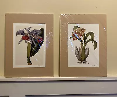 Pair Orchid Color Lithographs Prints Matted #'d Botanical  Artwork Flower • $29.95