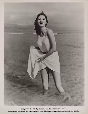Hollywood Beauty ELSA MARTINELLI  1958 - Cheesecake - Original Movie Photo K52 • $35.99