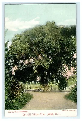 The Old Willow Tree Milton NY New York W.A. Goehringer • $19.99