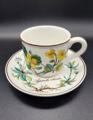 Vintage Botanica Villeroy & Boch Porcelaine Demitasse Cup & Saucer MINT  • $14