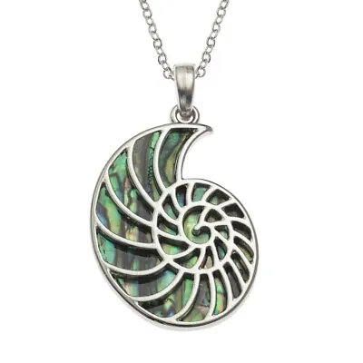 Ammonite Paua Abalone Shell Necklace With Chain - Gift Boxed • £10.99