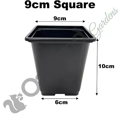 9cm Square Plant Pots ( 3.5  ) Black Plastic 1cm Deep Seed Flower Pot Recyclable • £6.45