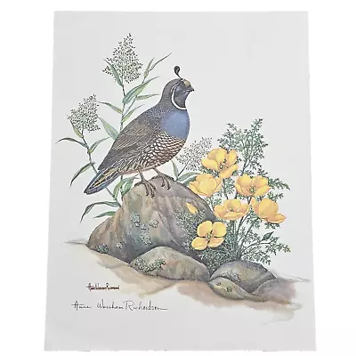 Anne Worsham Richardson Signed Print California Quail SC Hall Of Fame 9 X11  • $13