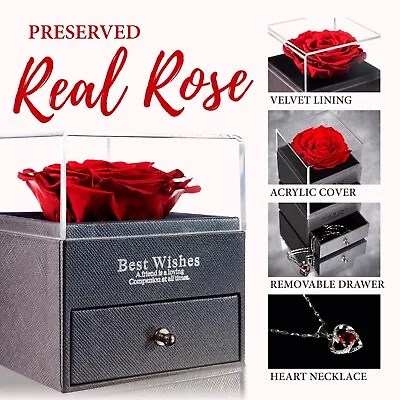 Preserved Rose With Necklace - Infinity Rose In Love Box - Made From Real Rose • $24.99