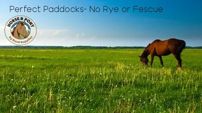Perfect Paddocks¦Grazing For Broodmares¦No Rye Or Fescue 14KG¦Quality Grass Seed • £84.99