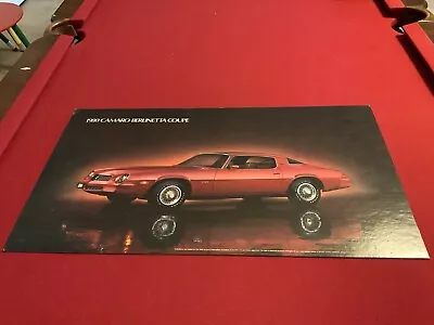 Vintage Dealership Showroom Cardboard Poster 1980 Camaro Berlinetta Coupe 18x32 • $84.75