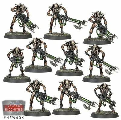 10x Necron Warriors And 3x Canoptek Scarab Swarms From 40K Elite Edition Set • £20