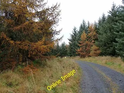 Photo 6x4 Forest Road Near Middleburn Farm Stonehaugh The Autumn Colorati C2012 • $2.49