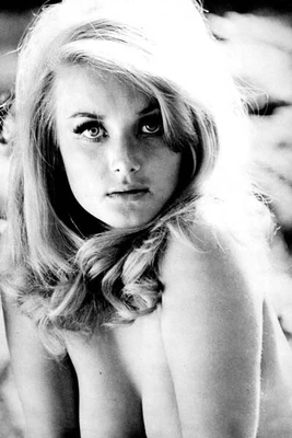 $29.99 • Buy Pamela Tiffin Bare Shouldered Pose Showing Huge Cleavage 24x36 Poster