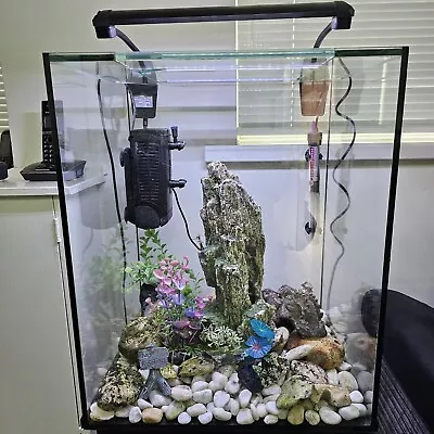 Marine Fish Tankfull Set Up. • £140