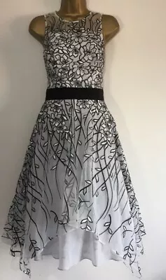 Gorgeous Coast Silver Floral Artwork Fit Flare Midi Dress Size 12 • £65