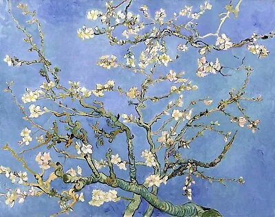 Almond Blossom Painting By Vincent Van Gogh Reproduction • $59.99