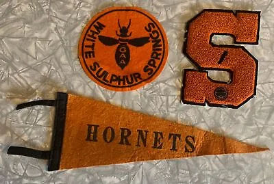 Old White Sulphur Springs Montana High School Hornets Pennant Patch Letter • $30