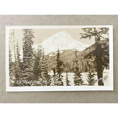 Vintage 1920s Mt. Hood From White River Oregon Photo By Benjamin A Gifford • $24.89