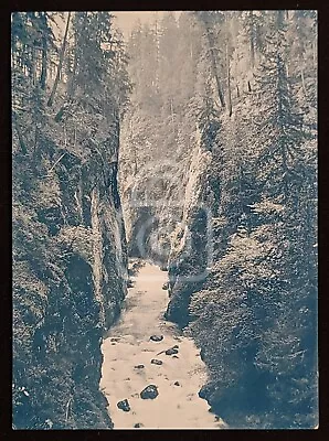 Cyanotype Photo Nisqually River Mt. Rainier. Albert H Barnes. C 1910. Colotype? • $29.95