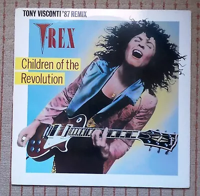 Vinyl Records T .Rex • £10