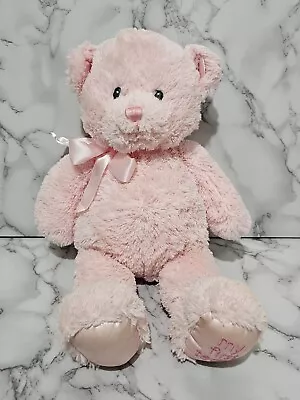 My First Teddy Bear Pink Bow Baby Toddler Stuffed Animal Plush Toy • $10