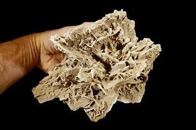 $59.99 • Buy DESERT SELENITE Sand Rose 9  3 Lb 7 Oz Rock Mineral Specimen Healing Crystal