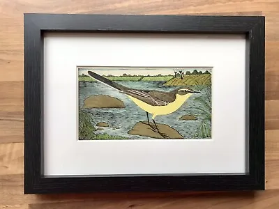 £20 • Buy Eric Fitch Daglish - Framed & Glazed - Yellow Wagtail - Vintage 1940’s