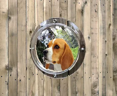 $25.99 • Buy Pet Fence Plastic Dome Peek Bubble Window For Dogs, Kids, Animals Clear Tinted