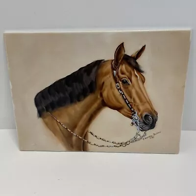 Vintage Hand Painted Horse Porcelain Plate Picture Signed M Schultz Brittain USA • $39.98