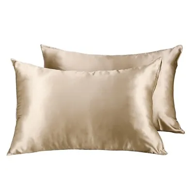 100% Pure Mulberry Silk On Both Sides 19 Momme Silk Pillow Case • $10.99